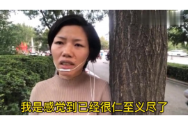 阳春企业清欠服务